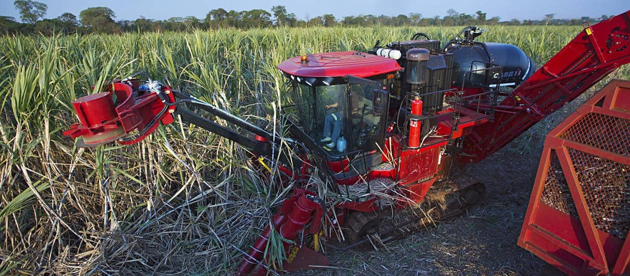 Latest Austoft food for thought for sugarcane farmers